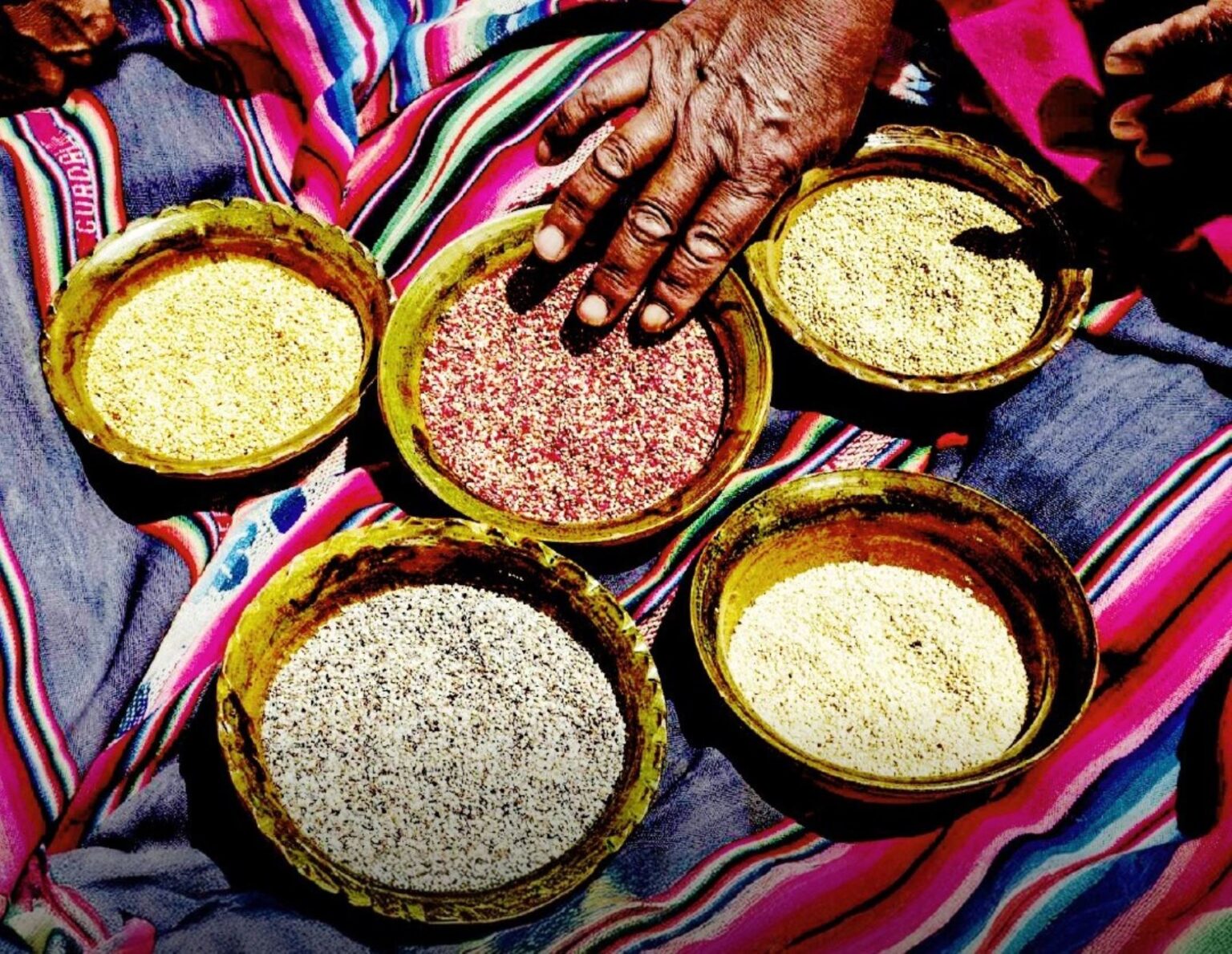 Granos Andinos: base alimentaria, económica y cultural del Perú - Entre ...